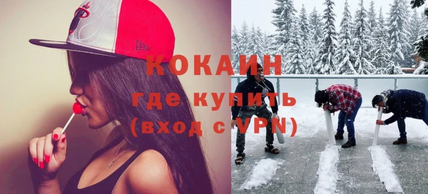 спиды Няндома