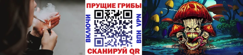 Галлюциногенные грибы Magic Shrooms  kraken как зайти  Можга 