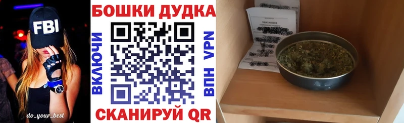 что такое   Можга  Конопля сатива 